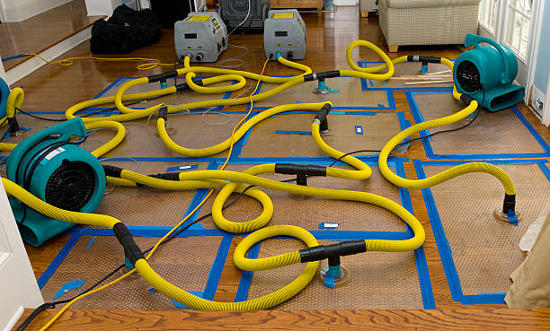 Professional Storm Water Damage Restoration technician working in Palmyra, PA